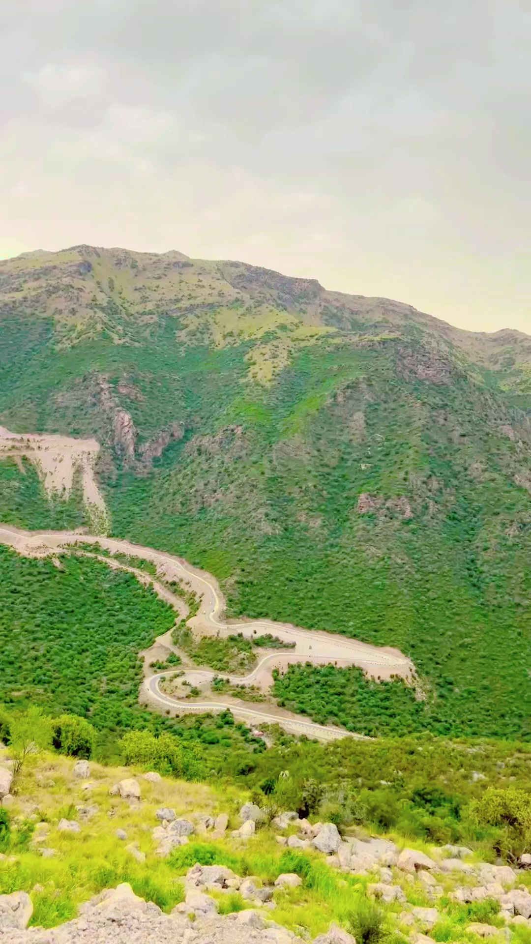 @شایان آفریدی 🌹🌹،🇵🇰🇵🇰