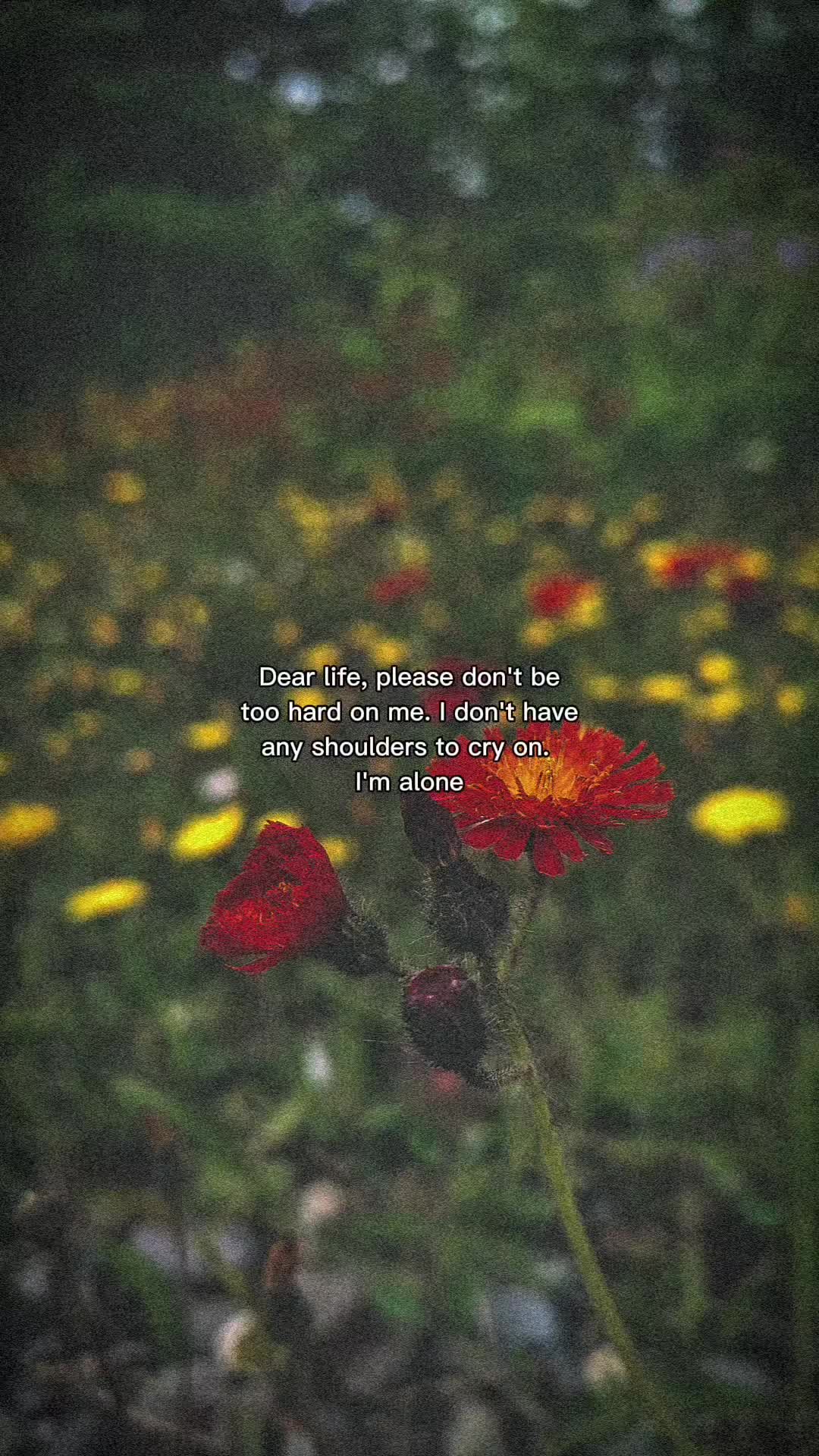 @Lil_G&otilde;blin❤️