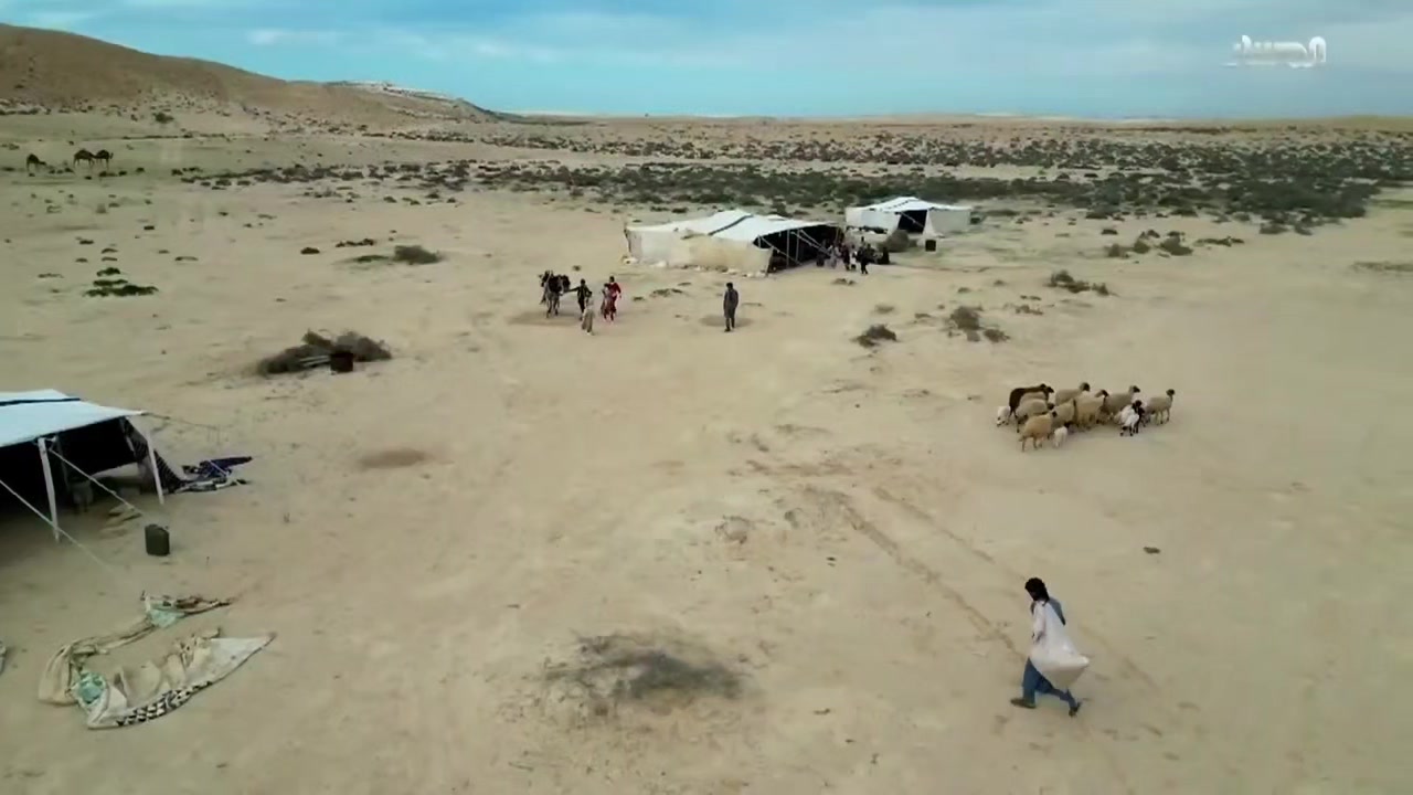 @موسخ الحردة