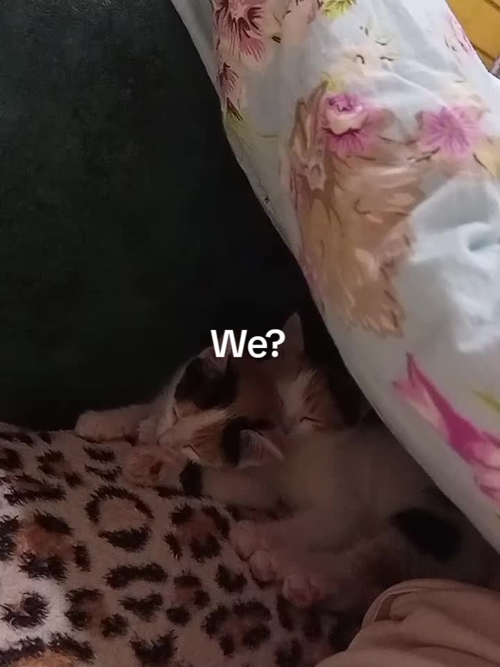@Юра
