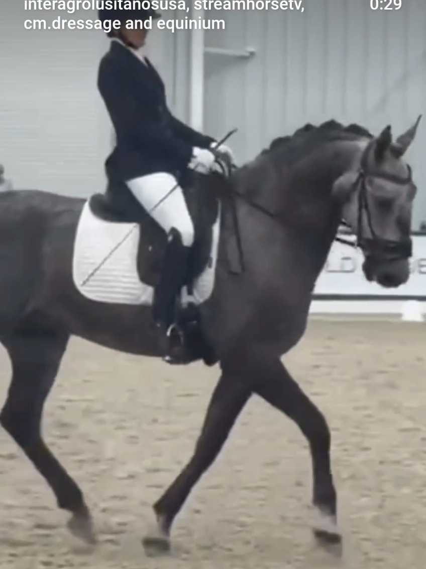 @streamhorse