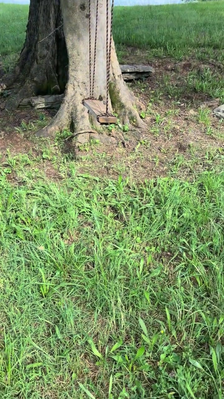@☆°。⋆ℒℯ𝒶𝒽 ⋆。°☆