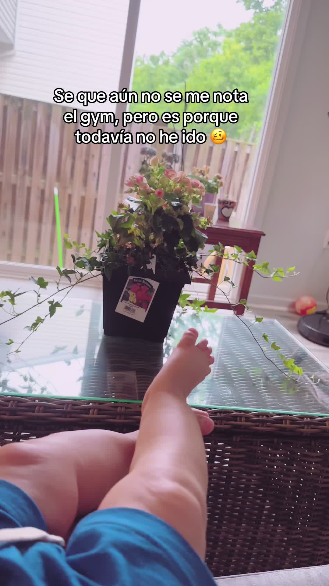 @Montoya- Avelar