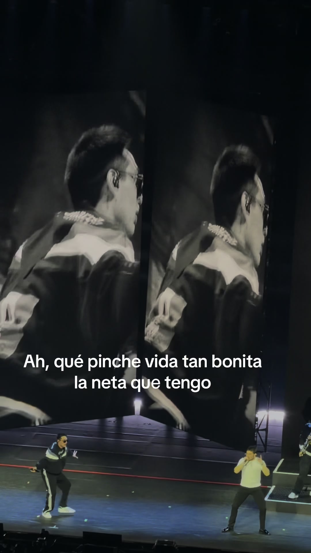 @Cynthia
