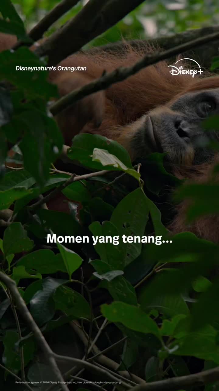 @Disney+ Indonesia