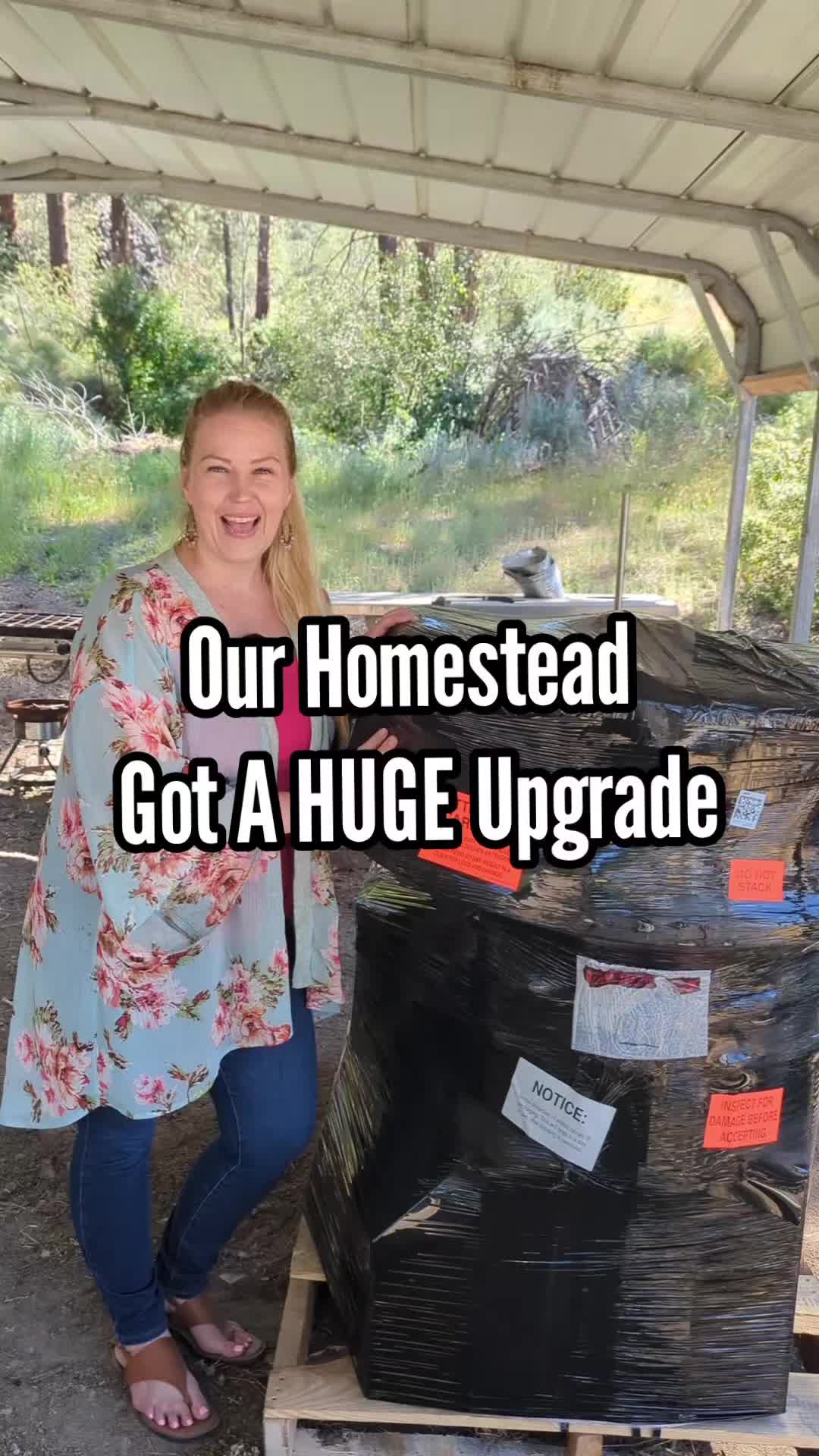 @MountainSpringHomestead