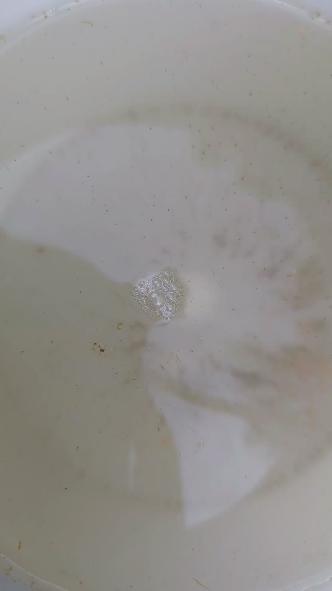 @Fishing with Metal