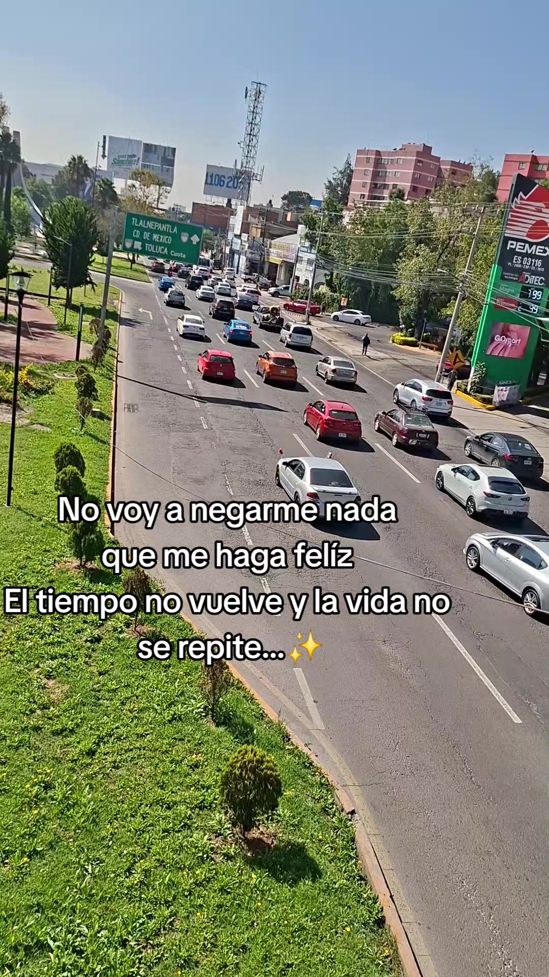 @fabirucha