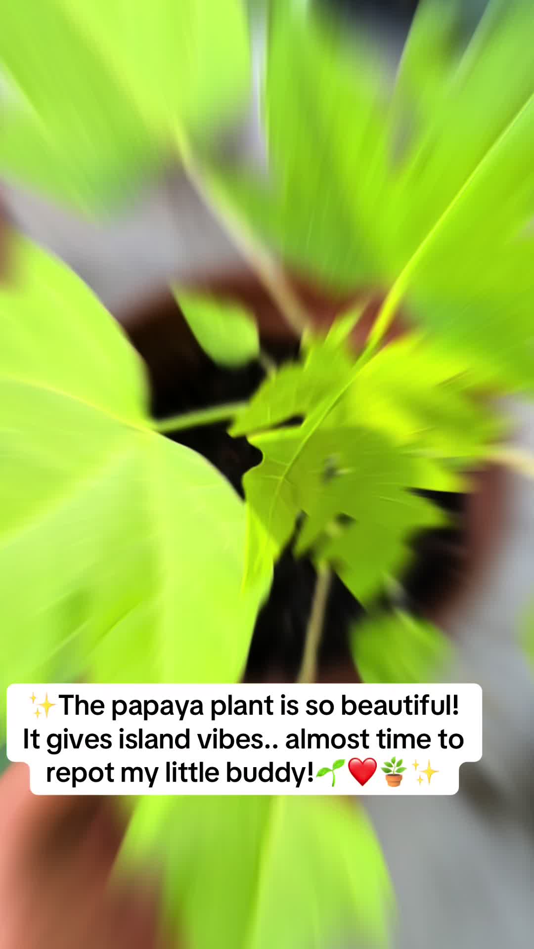 @The Natural Mommy 🌱