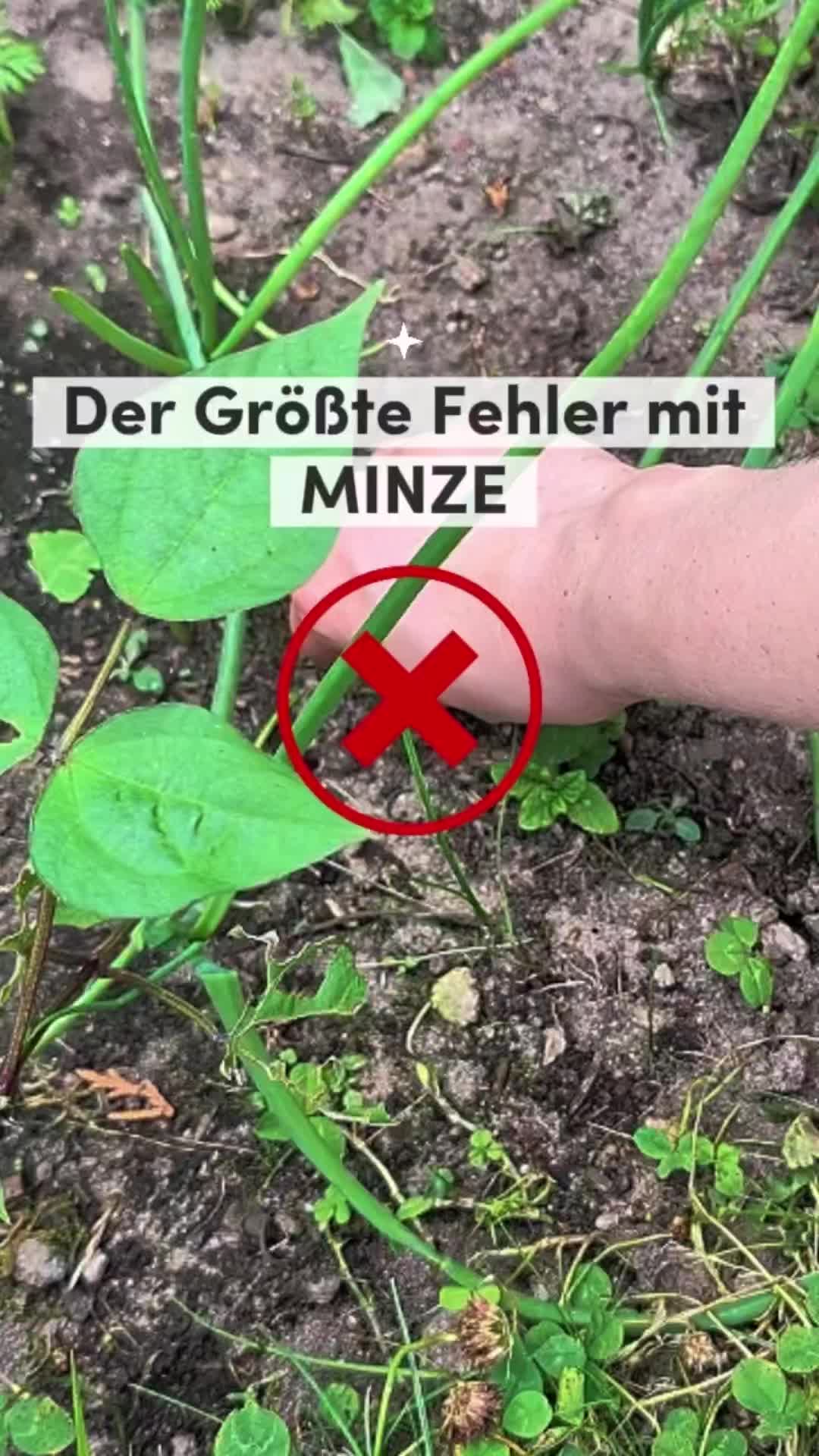 @ErnteExperte