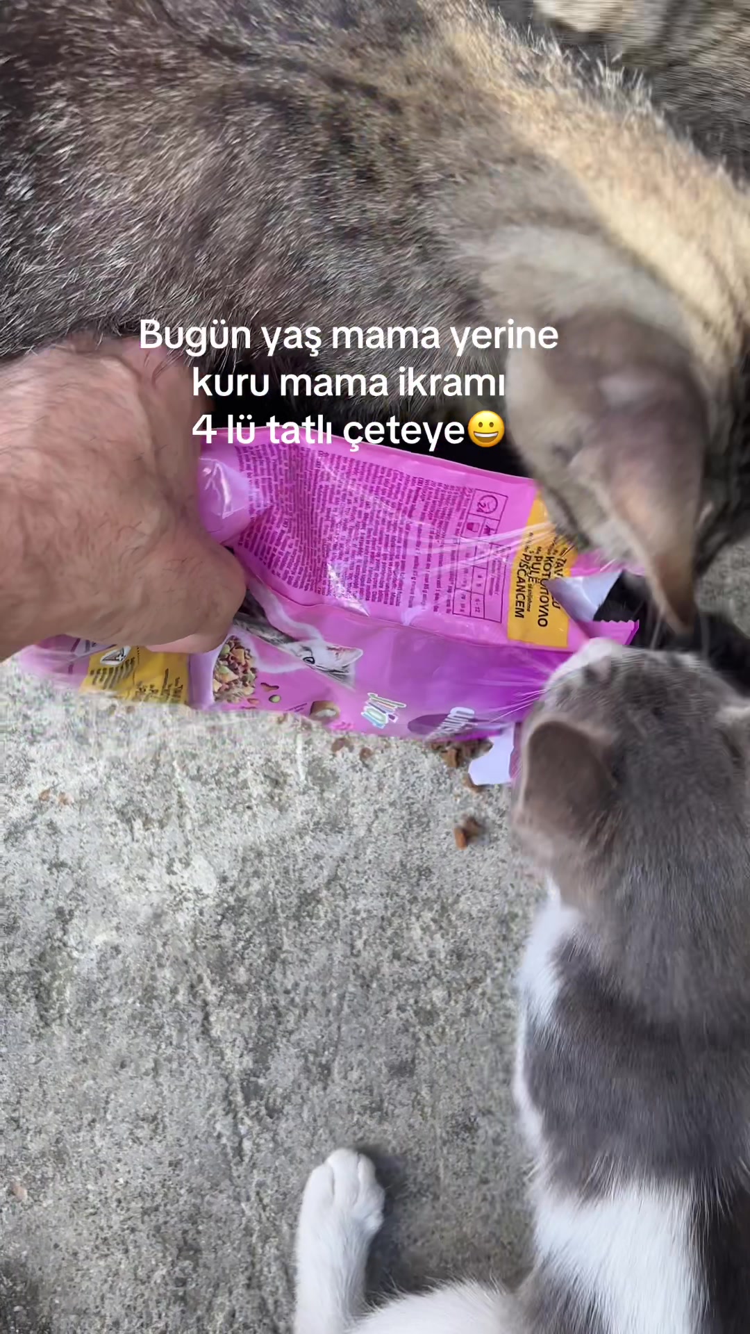 @EMRE ACAR