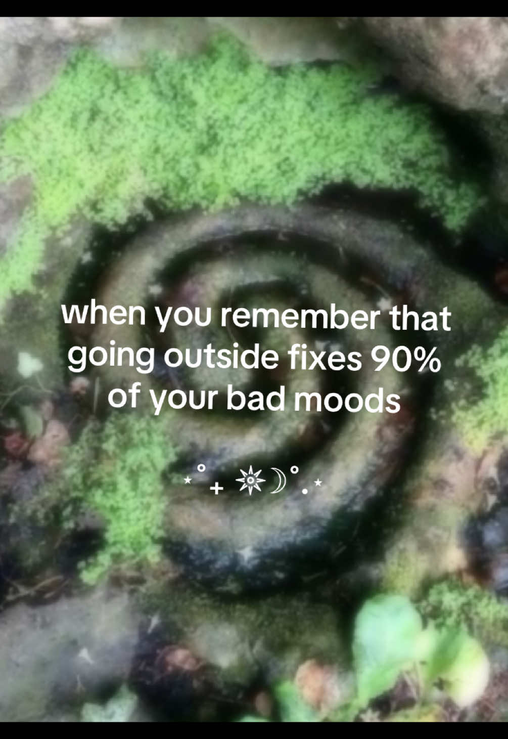 @𓆝 𓆟 𓆞 𓆝 𓆟 вєвє