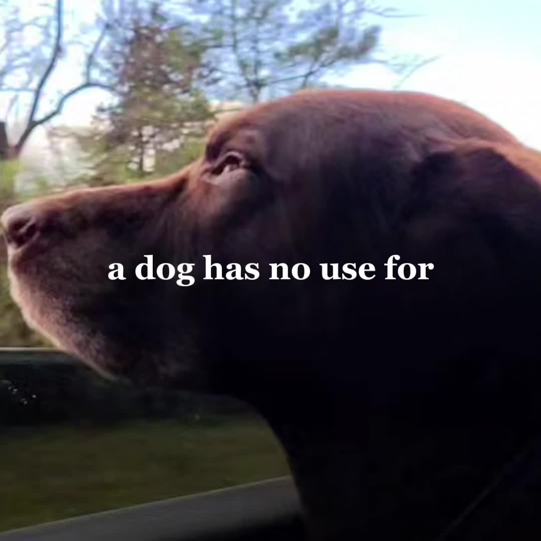 @Hank The Tank