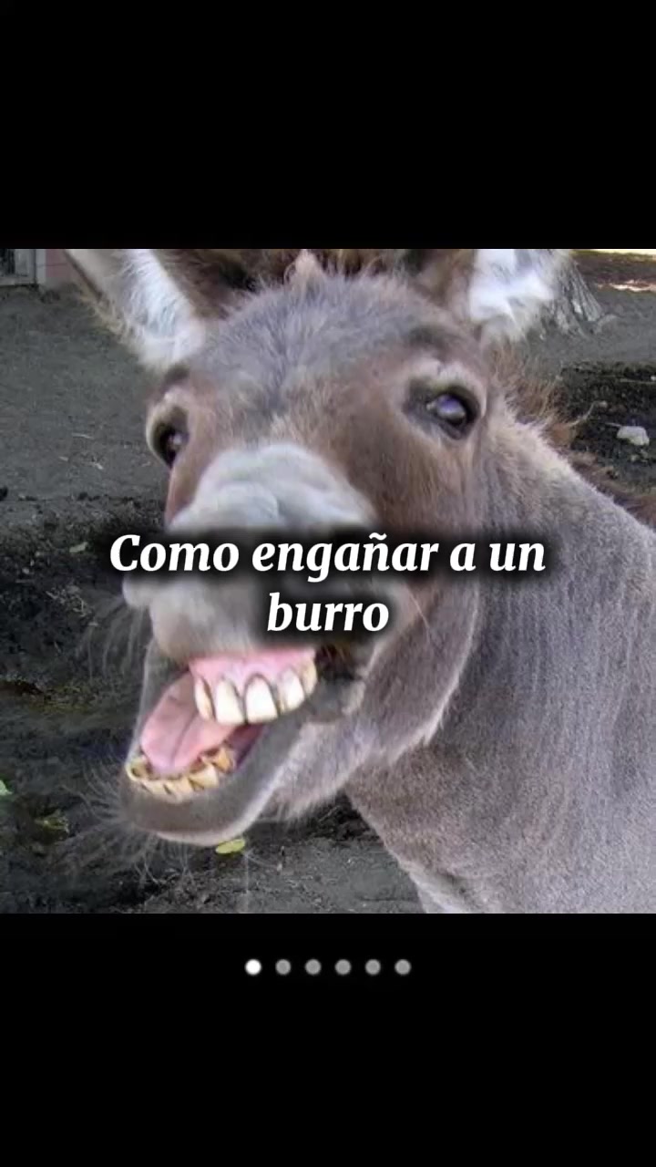 @Plantilla verde (memes)