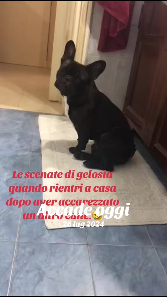 @Apolide