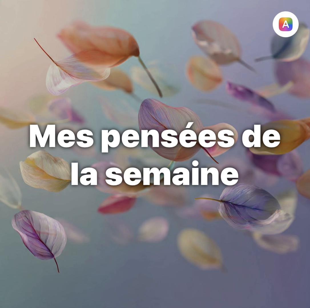 @Sonia Ferrario