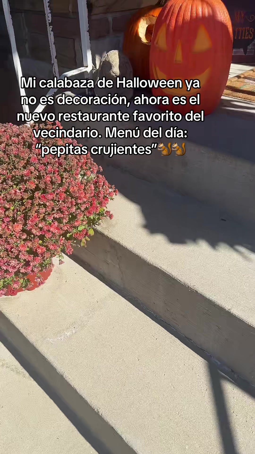 @addiesorto