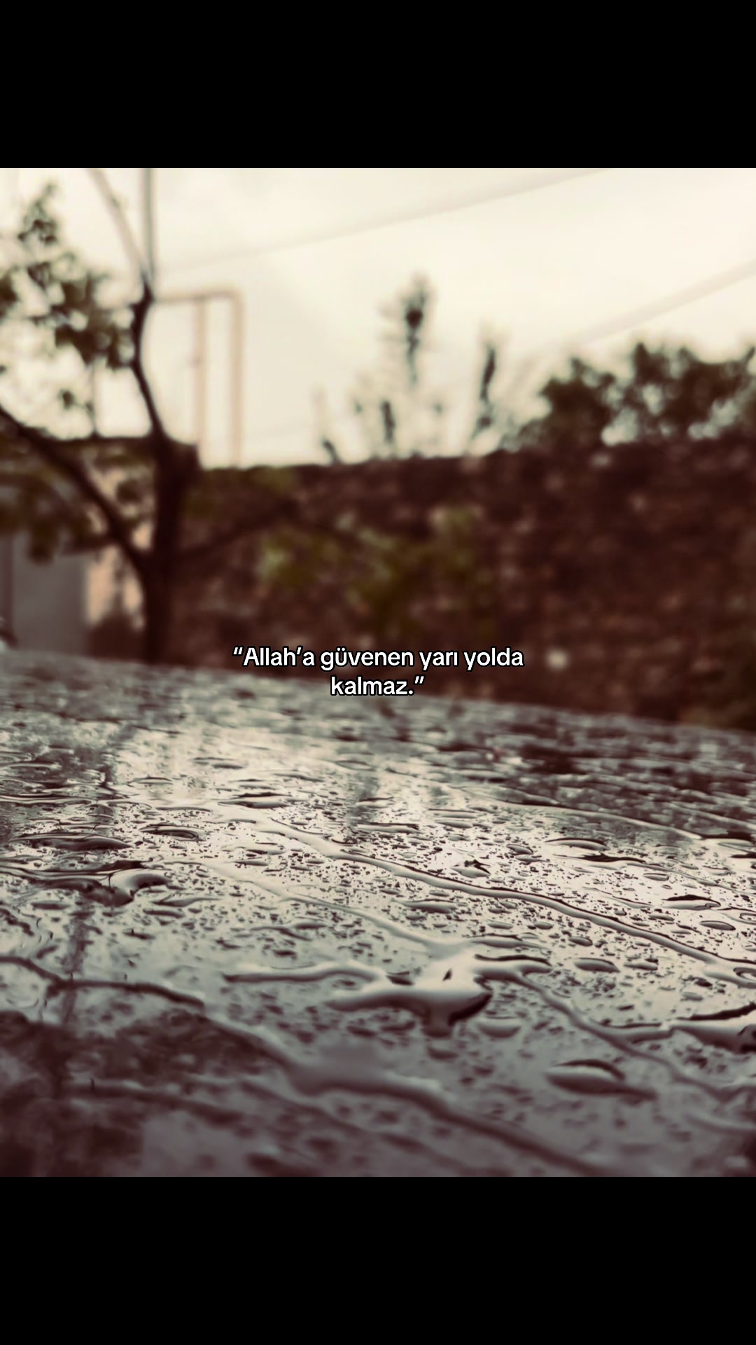 @Almemmedows ⚡