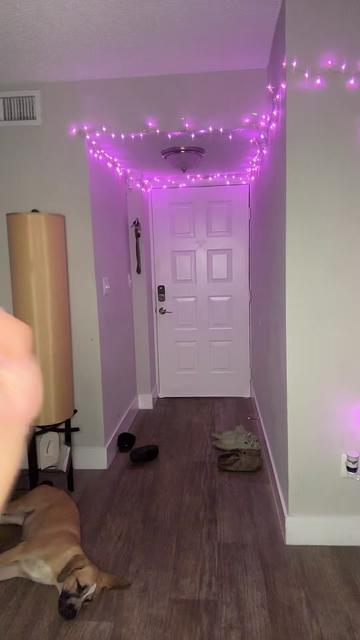 @takehmcmxls