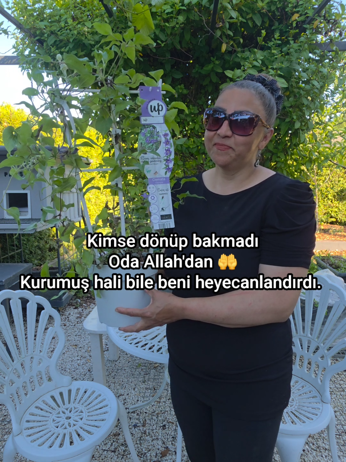 @meralworld