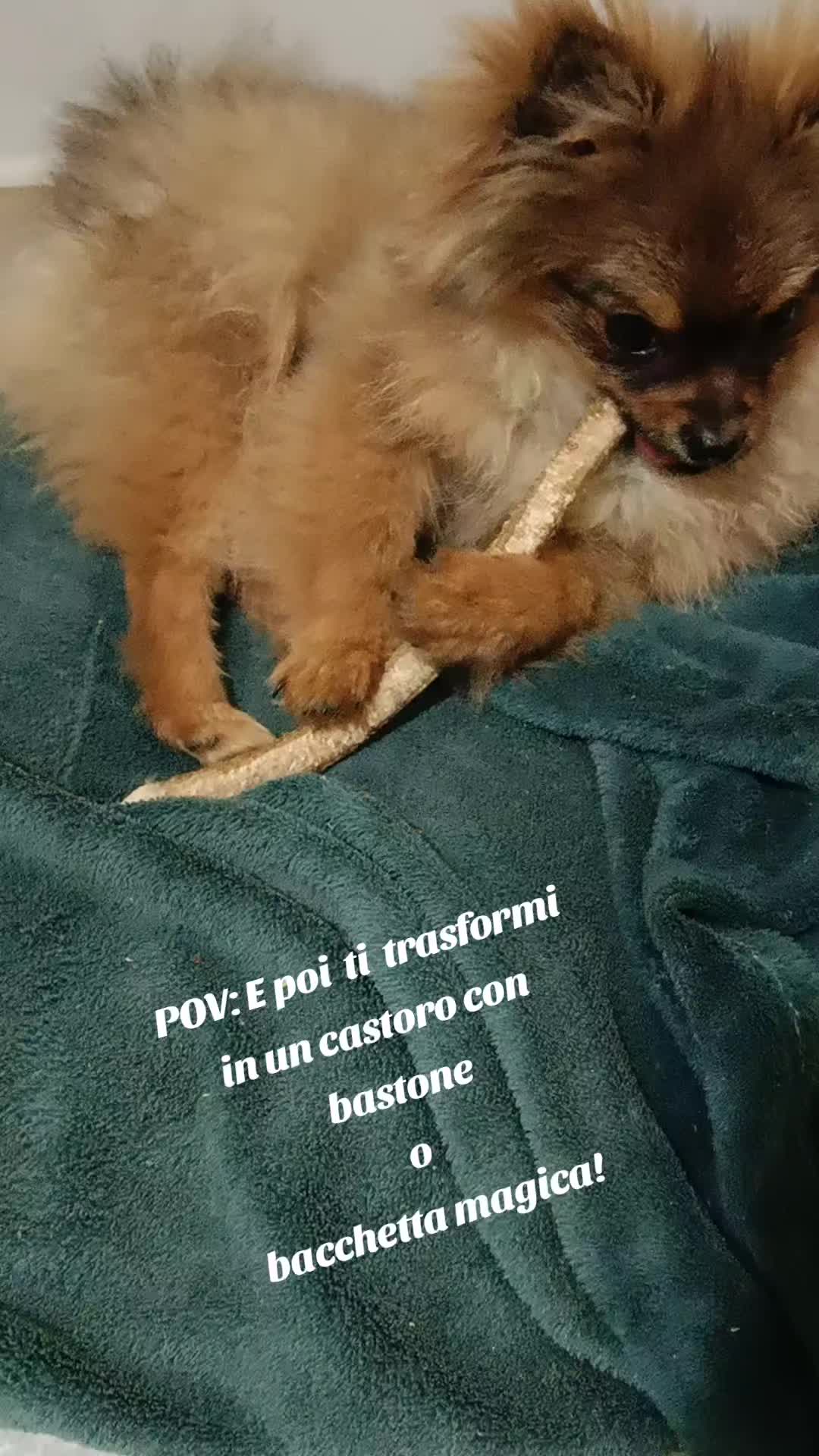 @🪷La voce di Kate🫰🏼