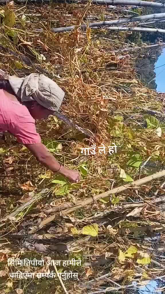 @gitaacharya134