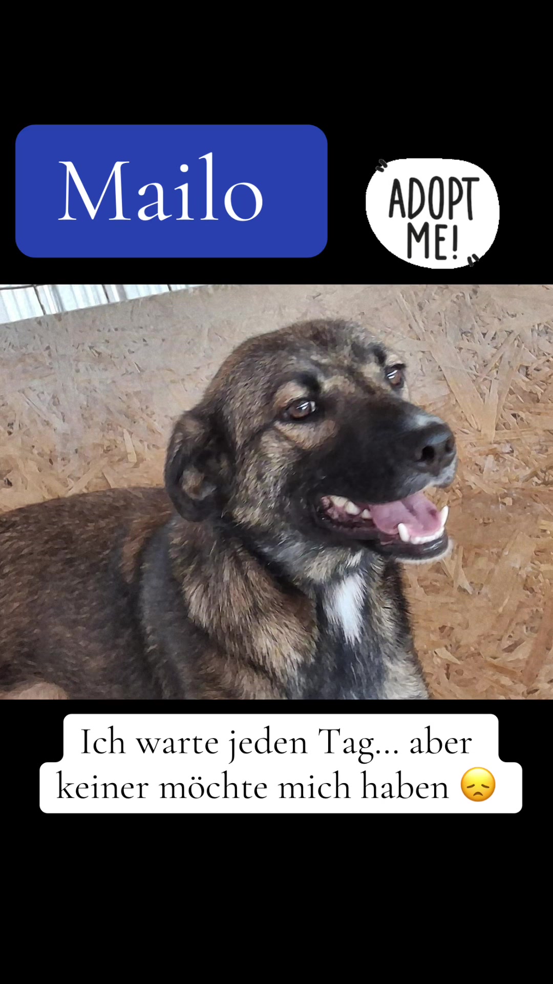 @Soulistas.Tierliebe