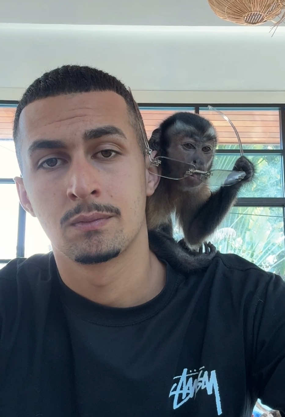 @Tarzane 🦍