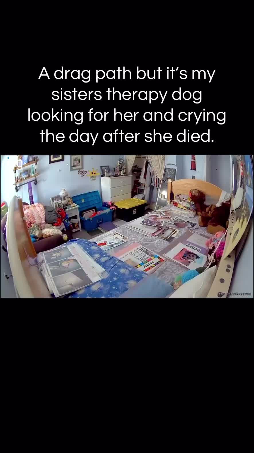 @Brynnie🌺