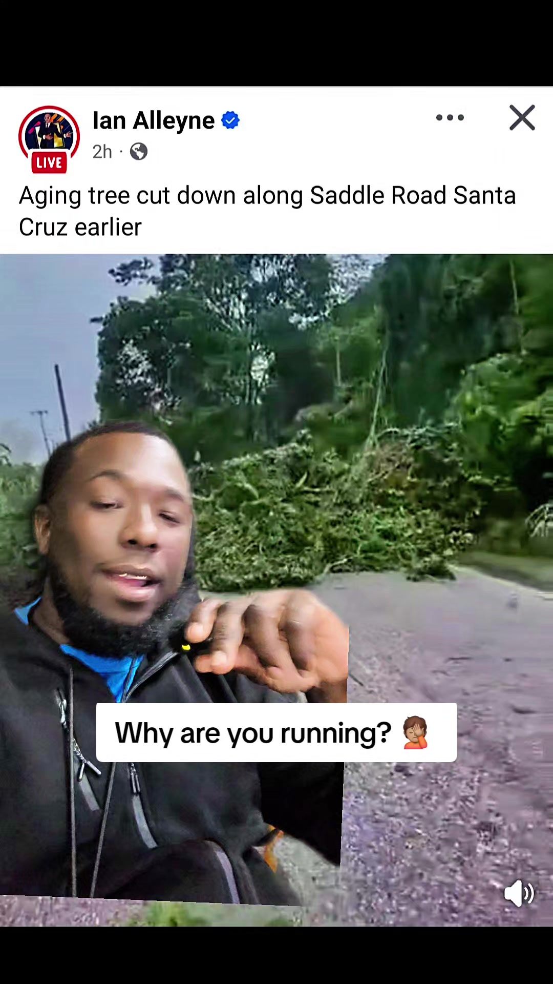 @paulduntin868🇹🇹