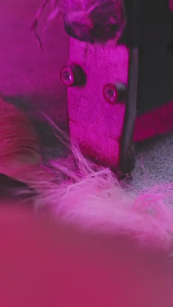 @pellicceriafelyfurs