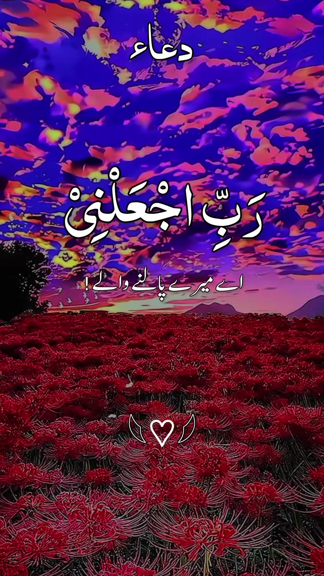 @❣️ Words of Allah ❣️