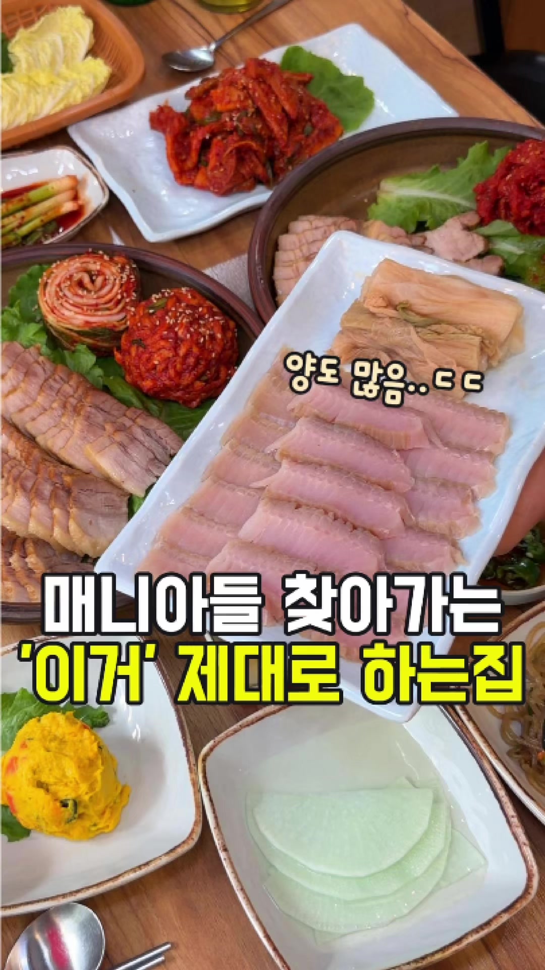 @대전토박이