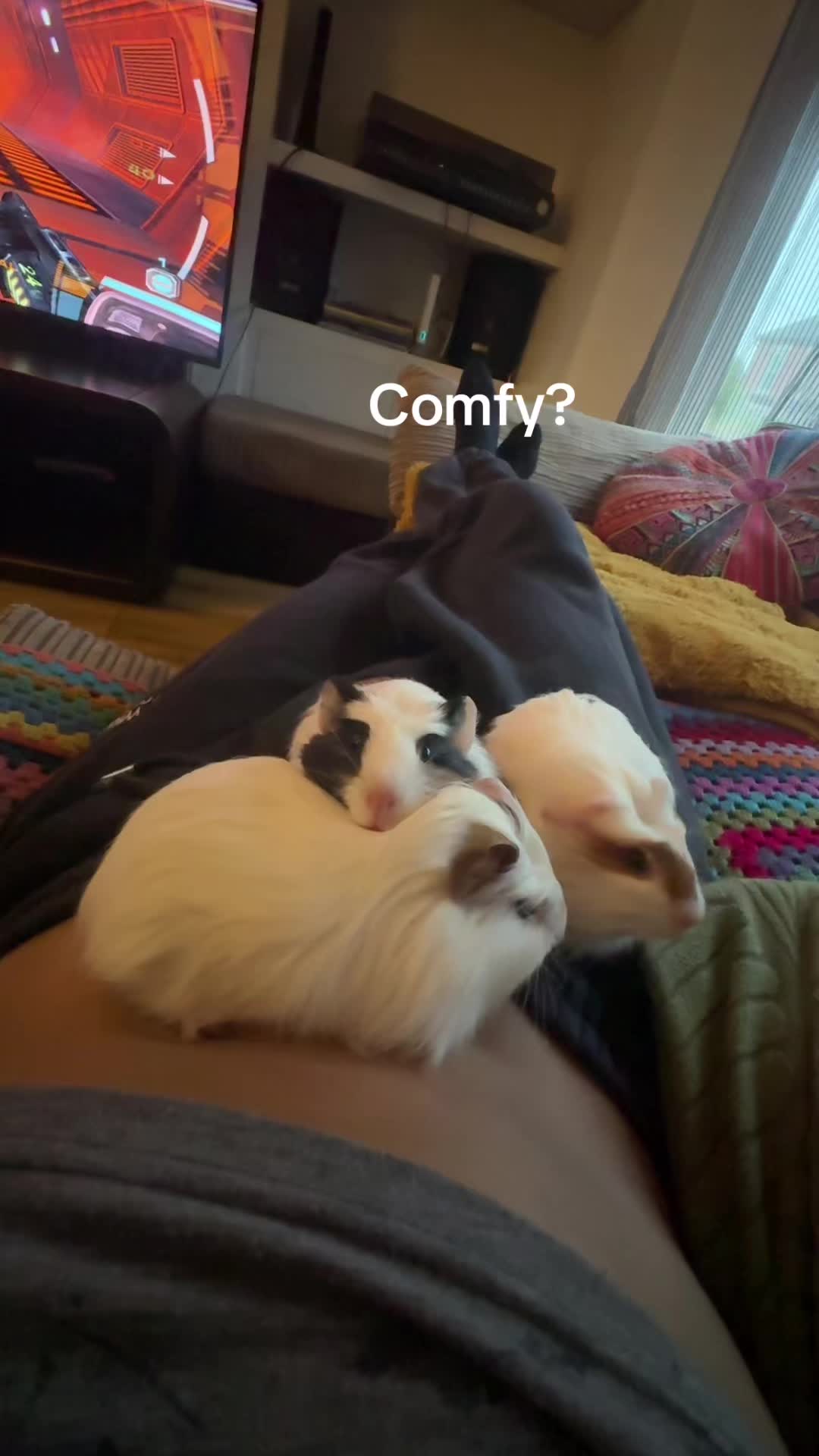 @𝓡𝓲♡︎