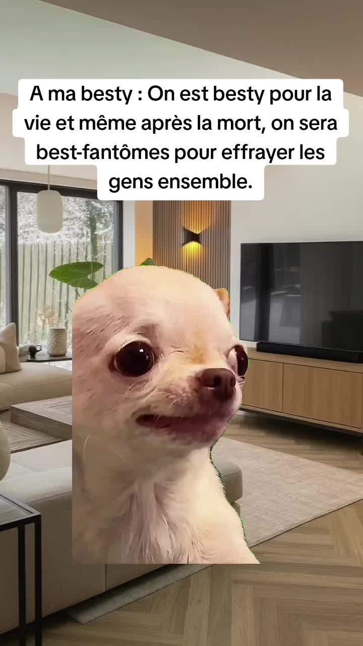 @🦋 Reine_Mère 🦋