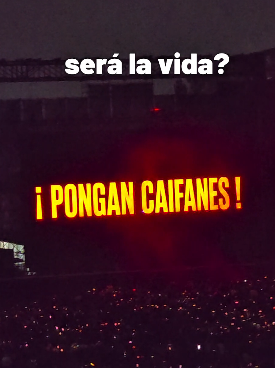 @Festesters