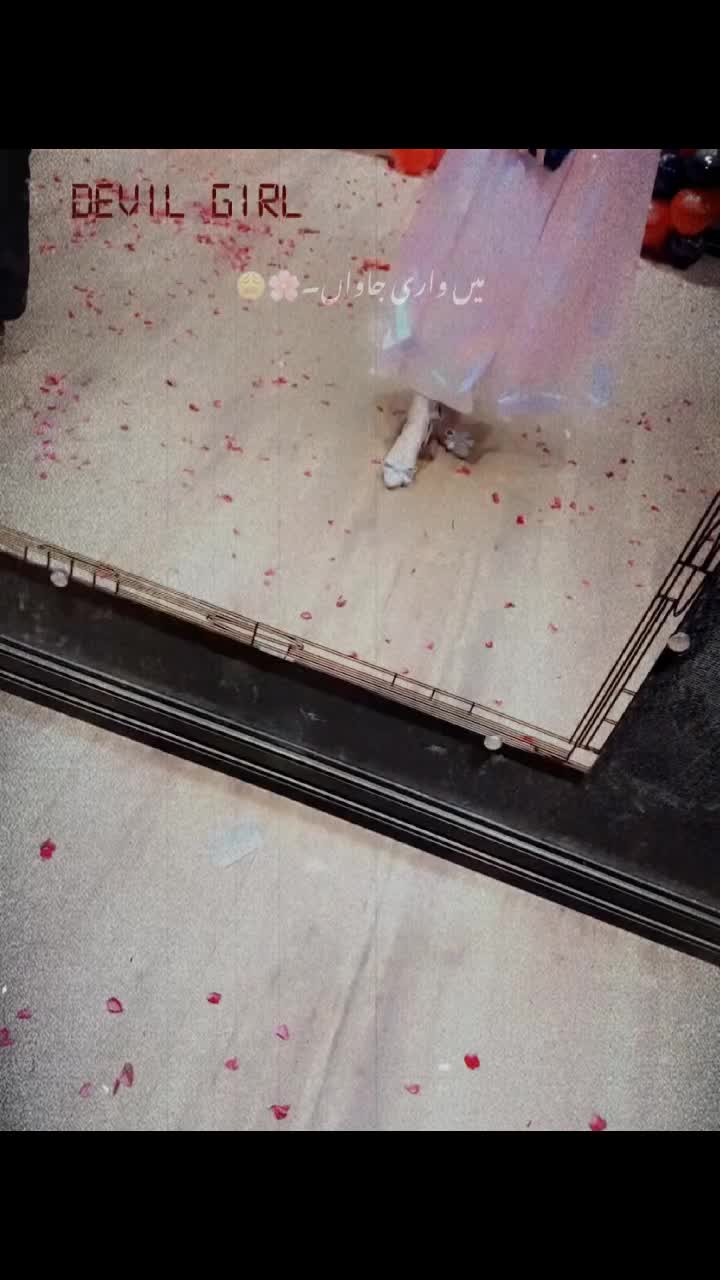 @خانی♥️☠️