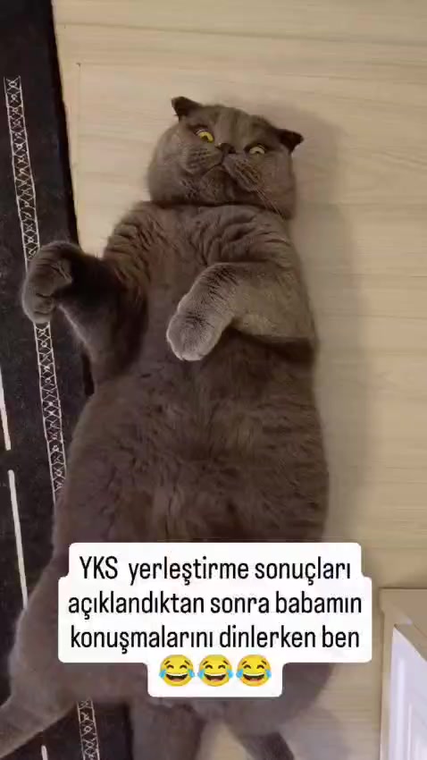 @gamzeli kızı 😊 minnoşlari
