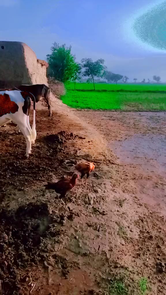 @Ziddi rao