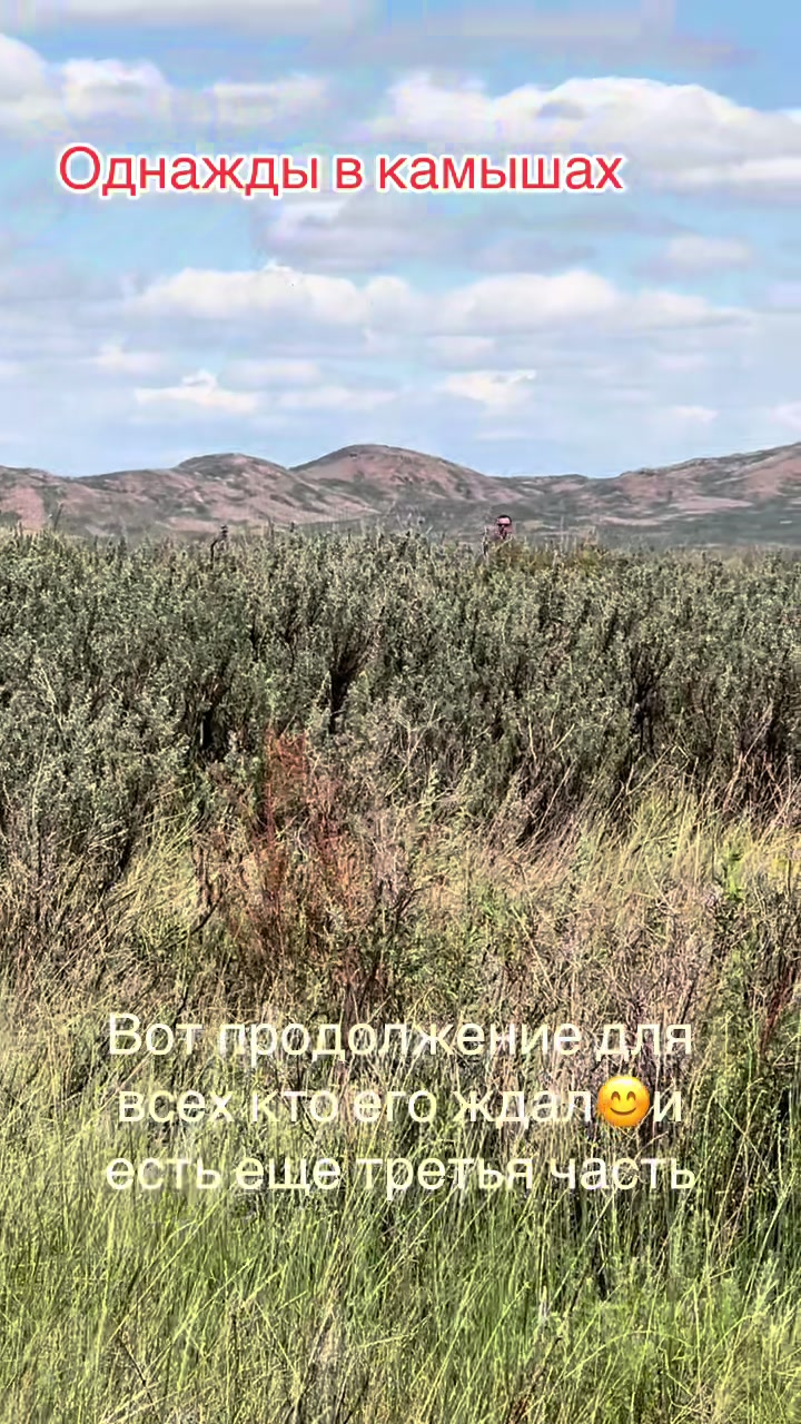 @Sergey_Alfa_Omega