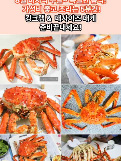 @킹크랩 대게 동해수산유통