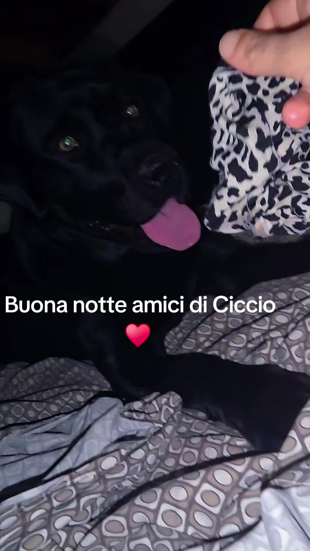 @Vale....🤗