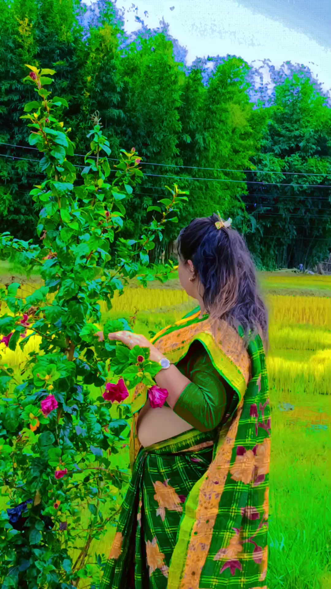 @mira Pokharel