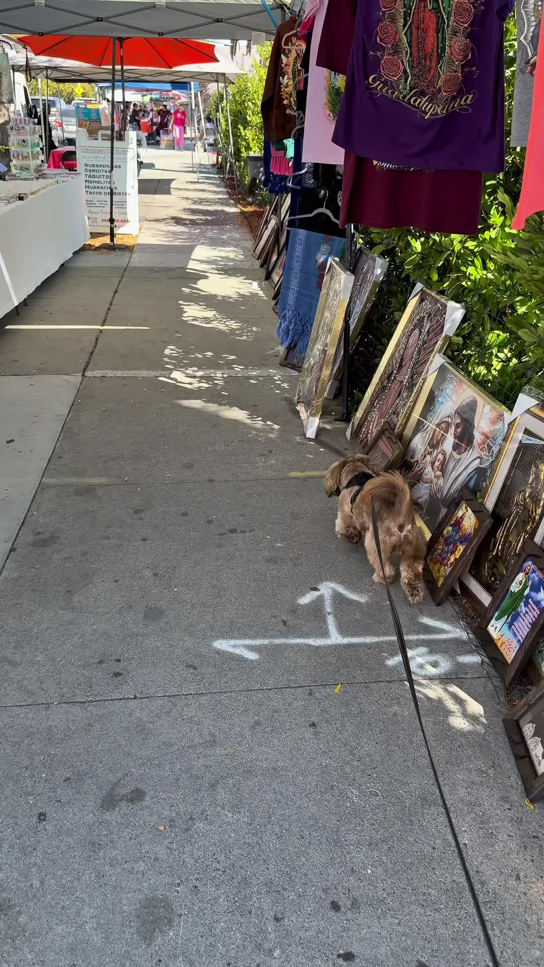 @Carlos Alcala
