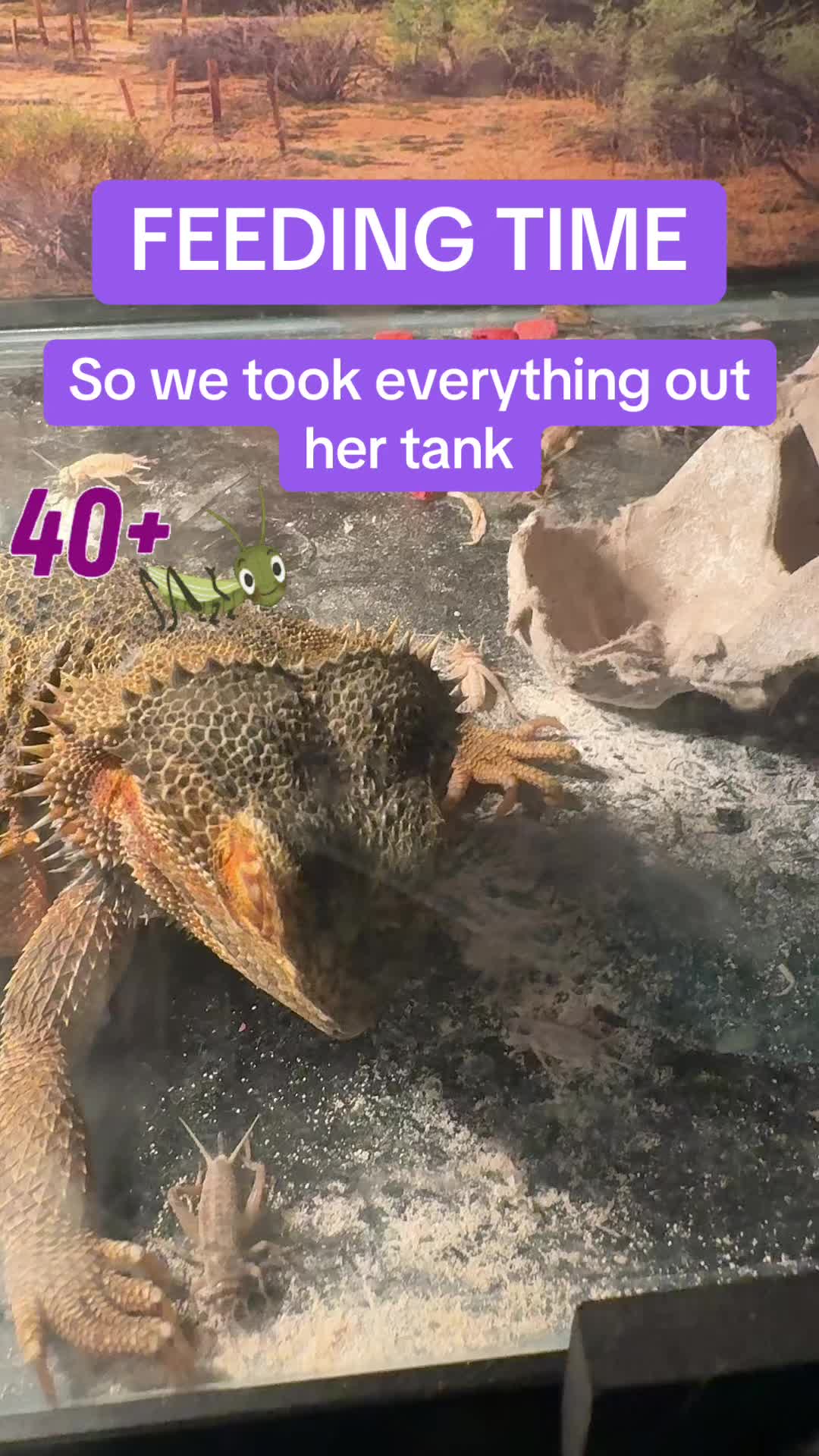 @V1RU5