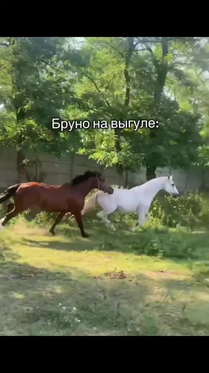 @я полезная как генератор 👍
