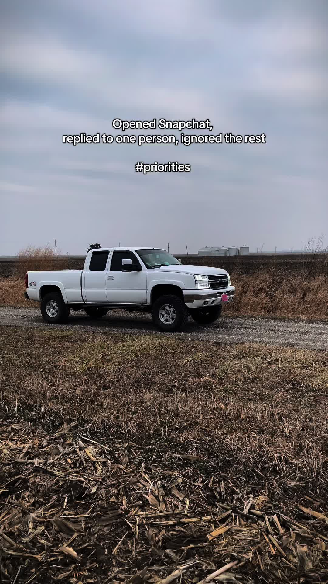 @06_whitecateye