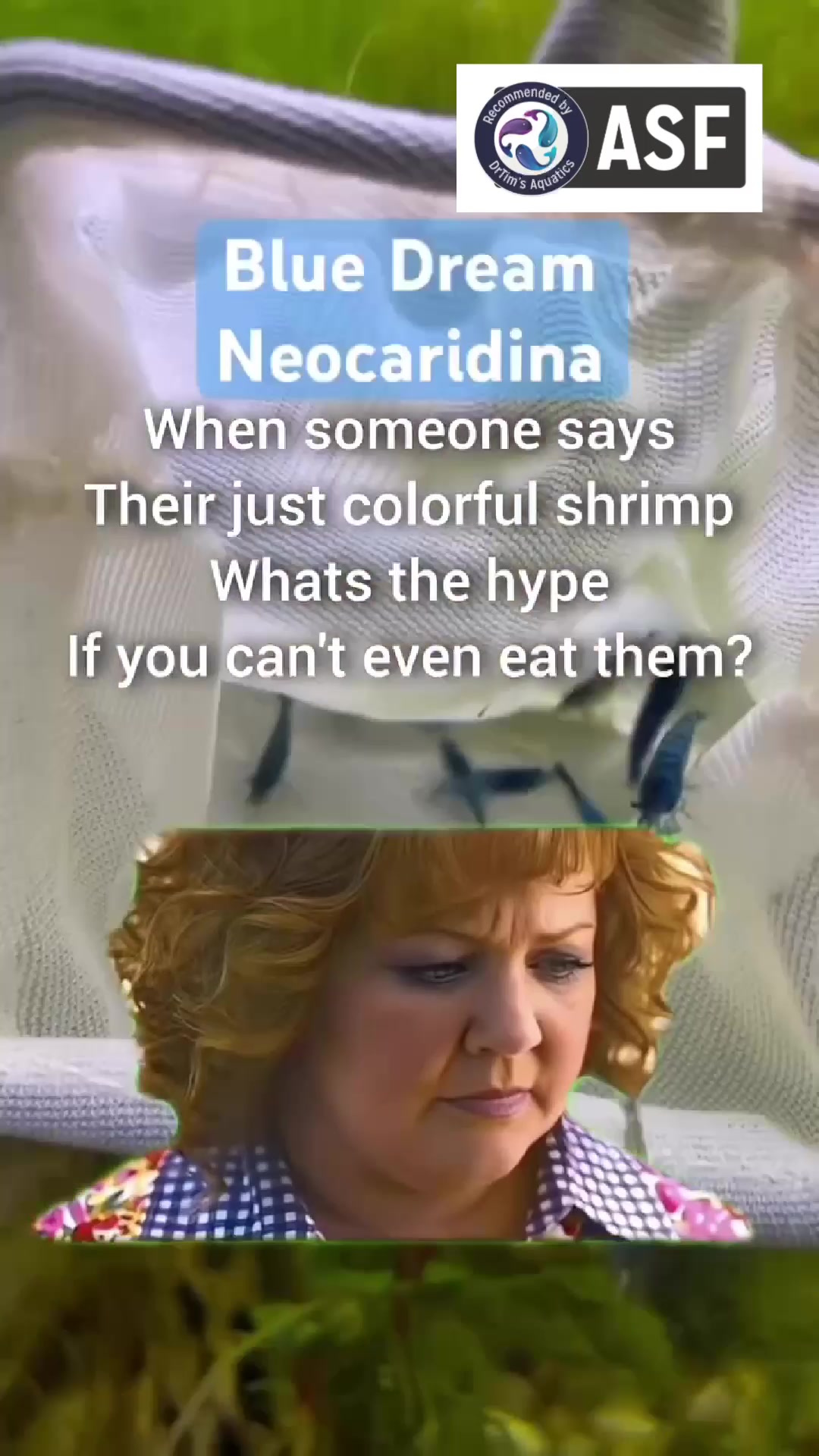 @DrTim