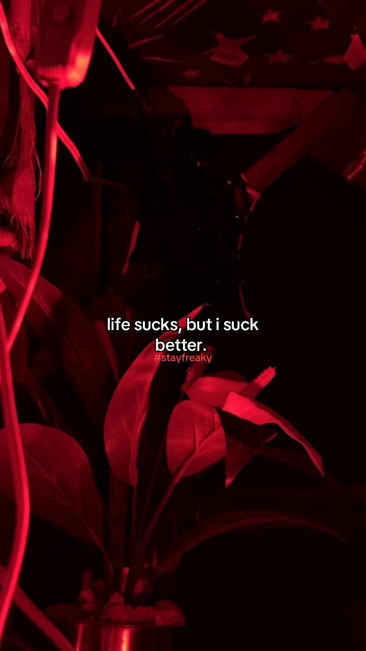 @𝒆𝒄𝒍𝒊𝒑𝒕𝒊𝒏𝒆