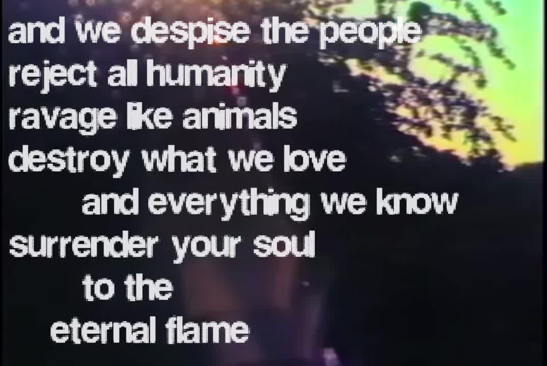 @⋆˚꩜｡₊